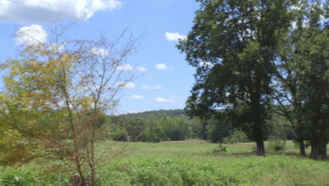 Pan-left-over-countryside-to-reveal-a-jeep-parked-under-a-large-tree