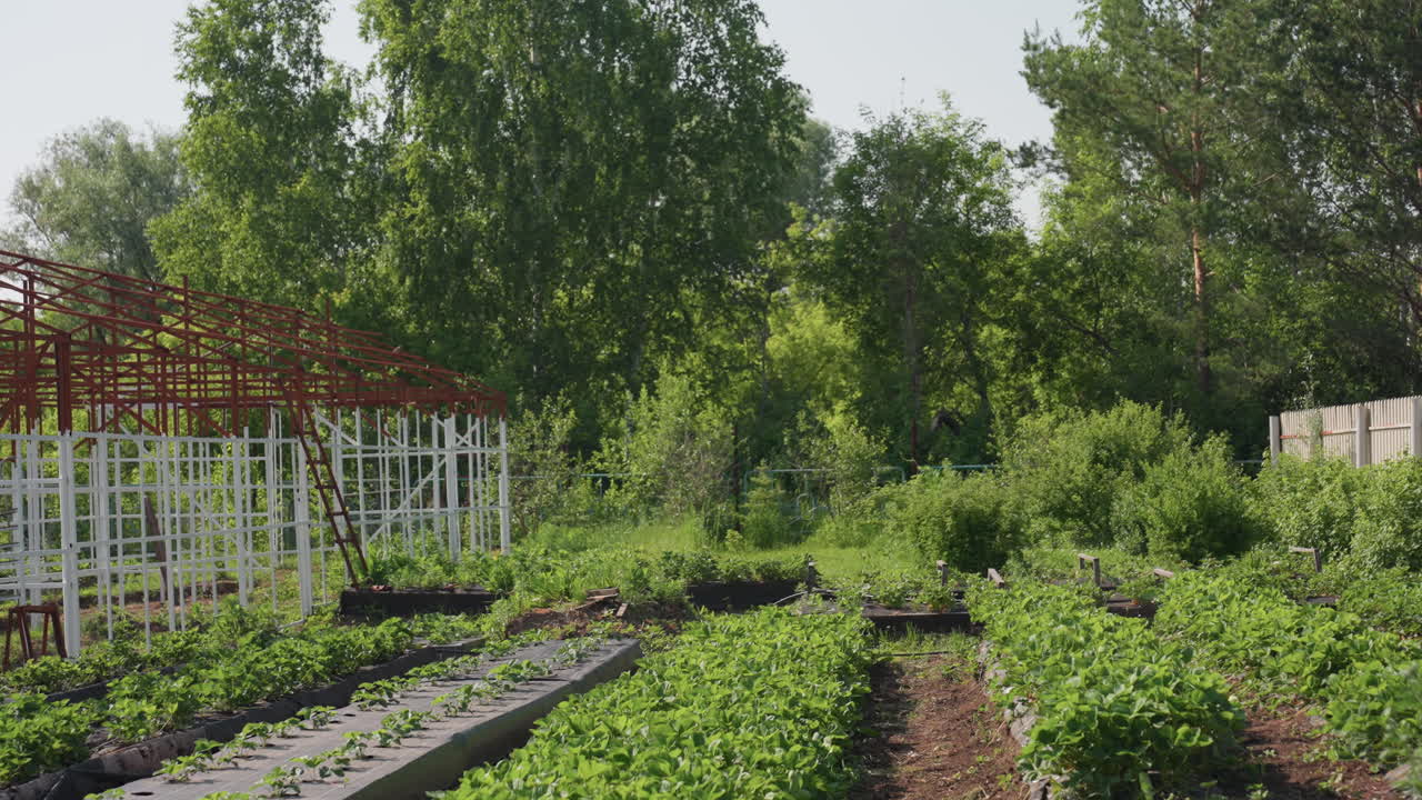 scenic view of farmland with metal frame house under construction, rows of young plants in raised beds, lush trees in background, sunny sky calm rural landscape