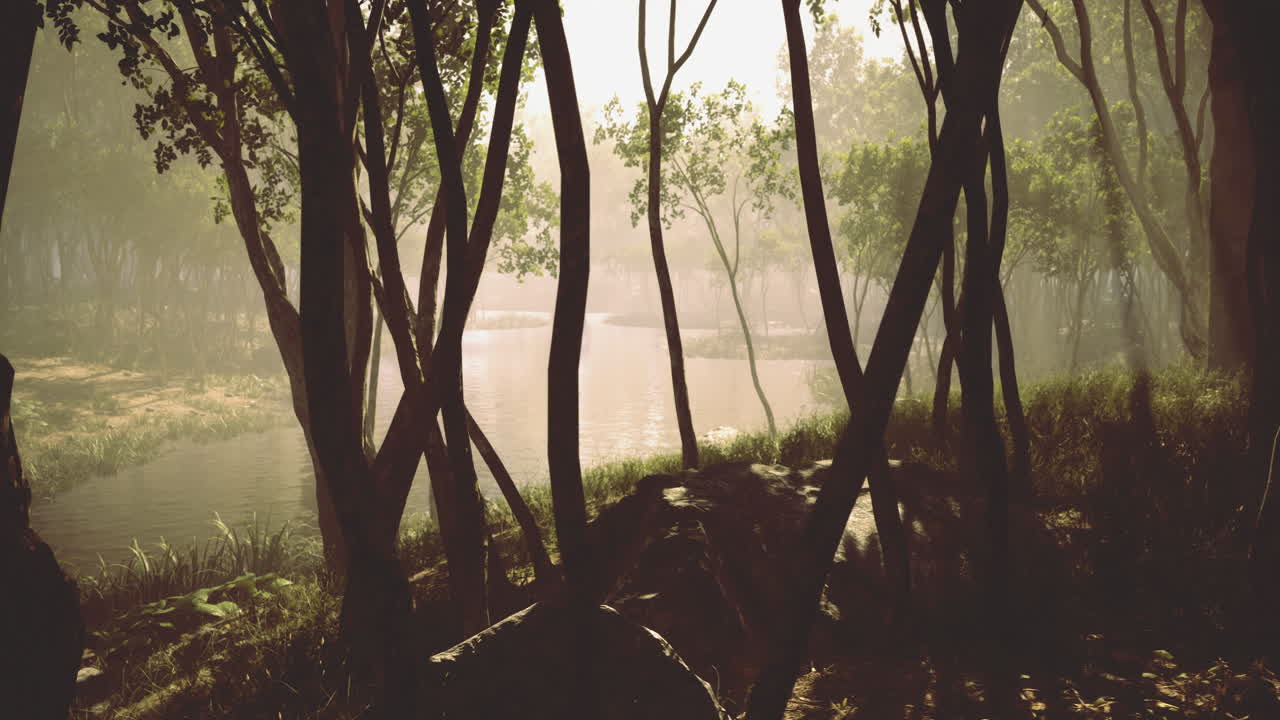 la luz serena de la mañana se filtra a través de los árboles cerca de una vía fluvial tranquila en la naturaleza