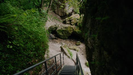 metal staircase through a canyon with boulders in the background and to the right side with lots of green plants to the left in austria