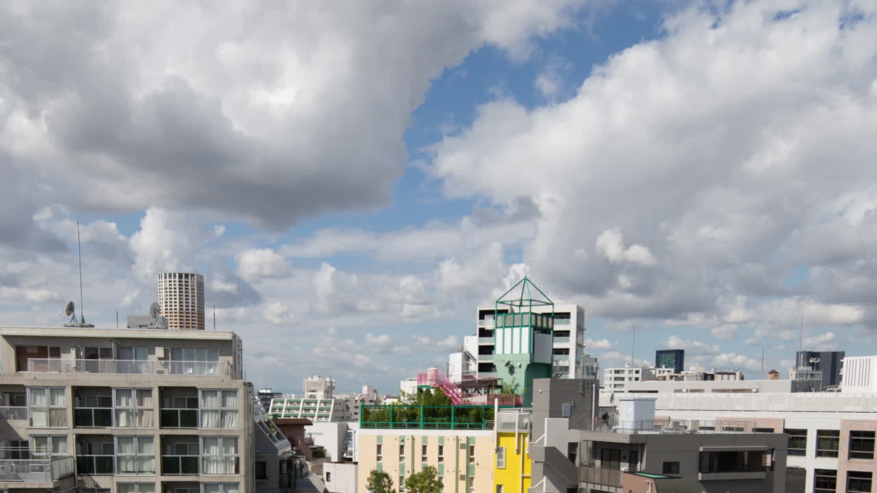 도쿄 럭스 new 00