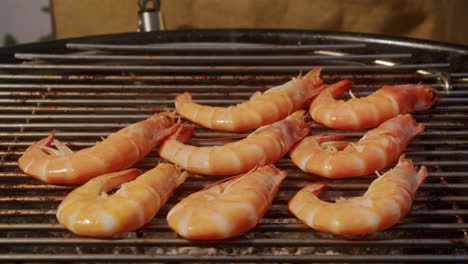 grilled shrimp on a barbecue