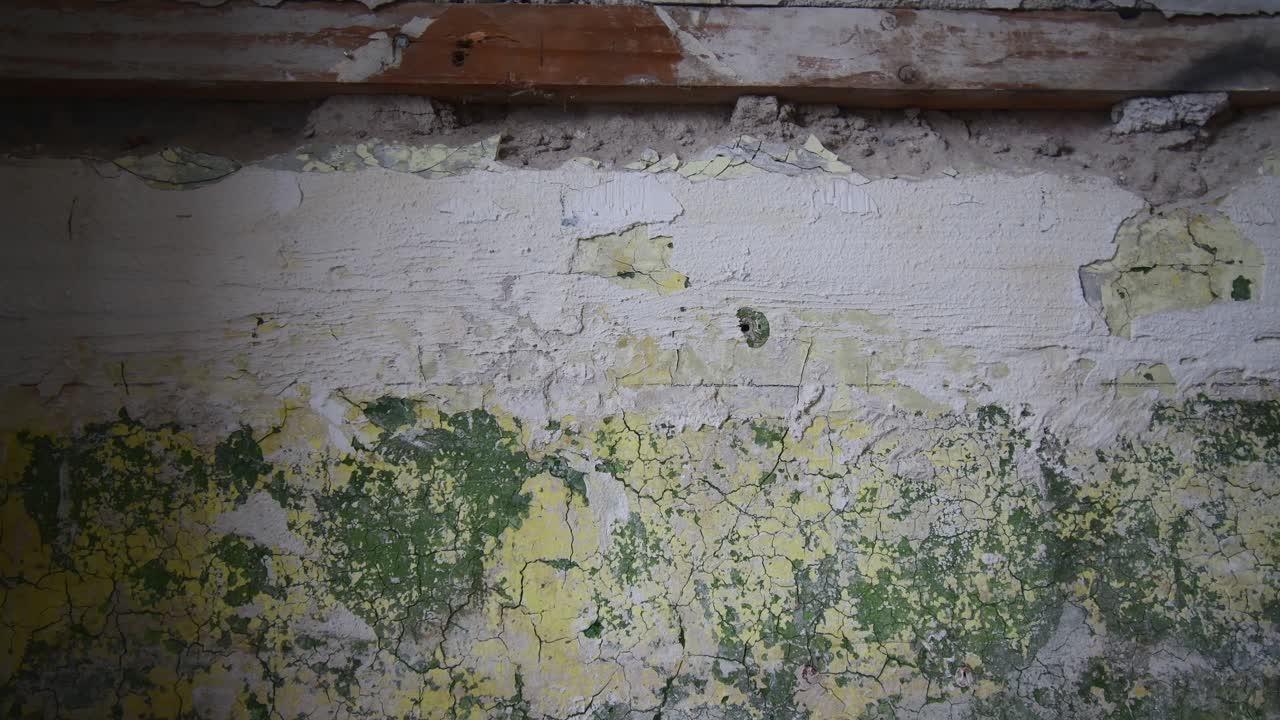 글래스고, 스코틀랜드, 영국, 2022년 8월 21일