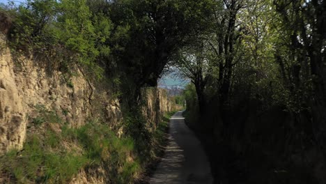 vista panorámica de carriles hundidos huecos con árboles