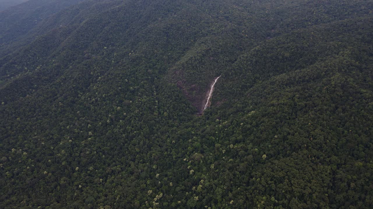 cascada escénica que cae a través de la montaña con vegetación en el parque nacional wooroonooran