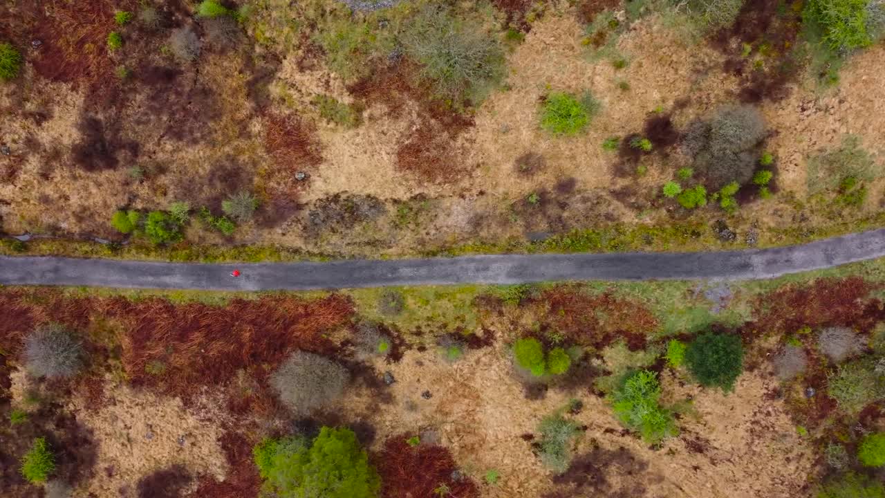 Top down aerial view of a person walking on a paved road in Scotland that is in the middle of colorful brown and yellow nature trees and grass. The person is wearing orange jacket and stands out.