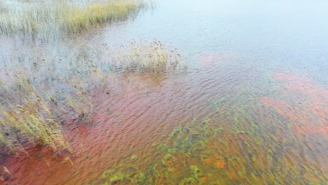 the reservoir is contaminated with chemicals and heavy metals. drone view. multicolored water.