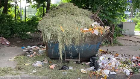 Shot-of-a-crow-scavenging-for-food-in-an-overflowing-dumpster-along-the-roadside-in-Kolkata,-India-at-daytime