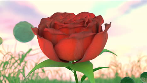 romantic red rose in a surreal fantasy garden 3d animated scene