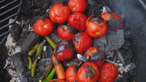 Top-Down-Aufnahme-Von-Tomaten-Auf-Grill,-Umgeben-Von-Chilis