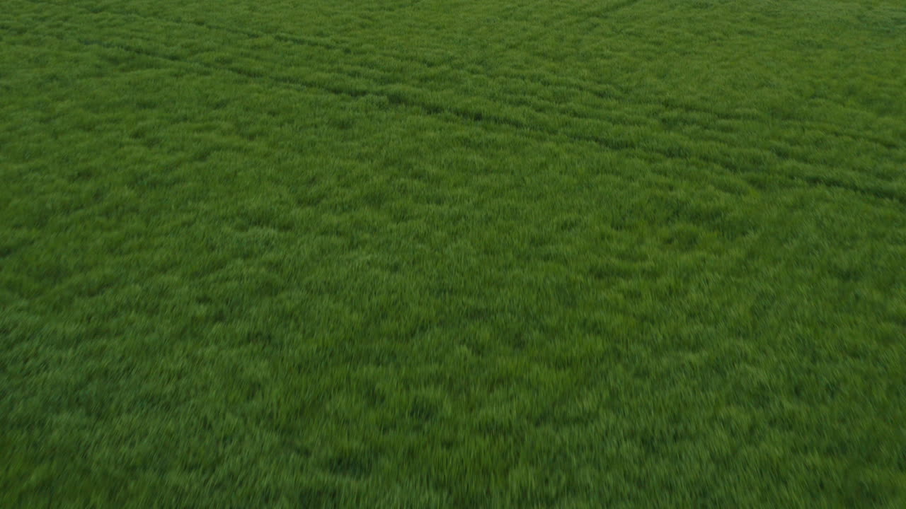 antena: hermosos campos fértiles, verdes y exuberantes, amplio tiro hacia adelante inclinado hacia arriba