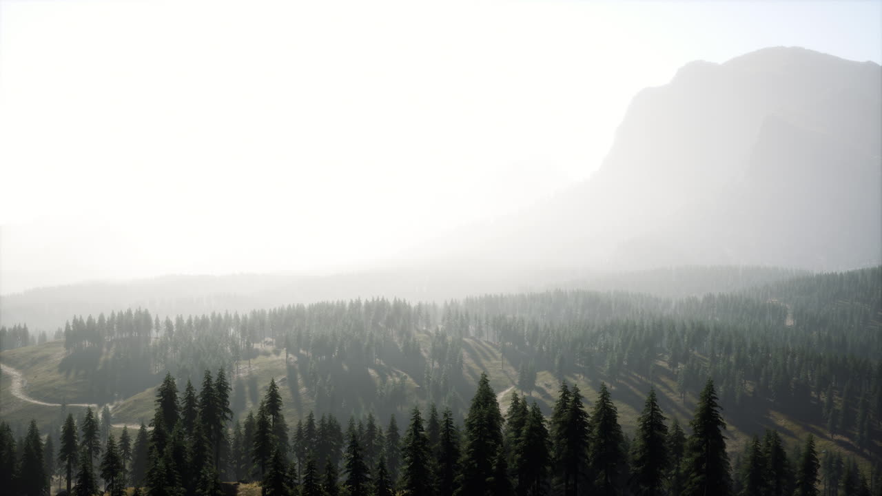 hermosa vista del atardecer en el bosque de cedros frente a la cordillera de sayan
