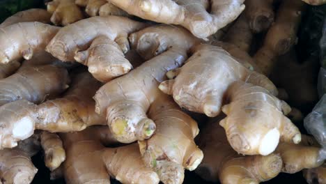 jengibre para la venta en exhibición en el mercado local de agricultores durante el día