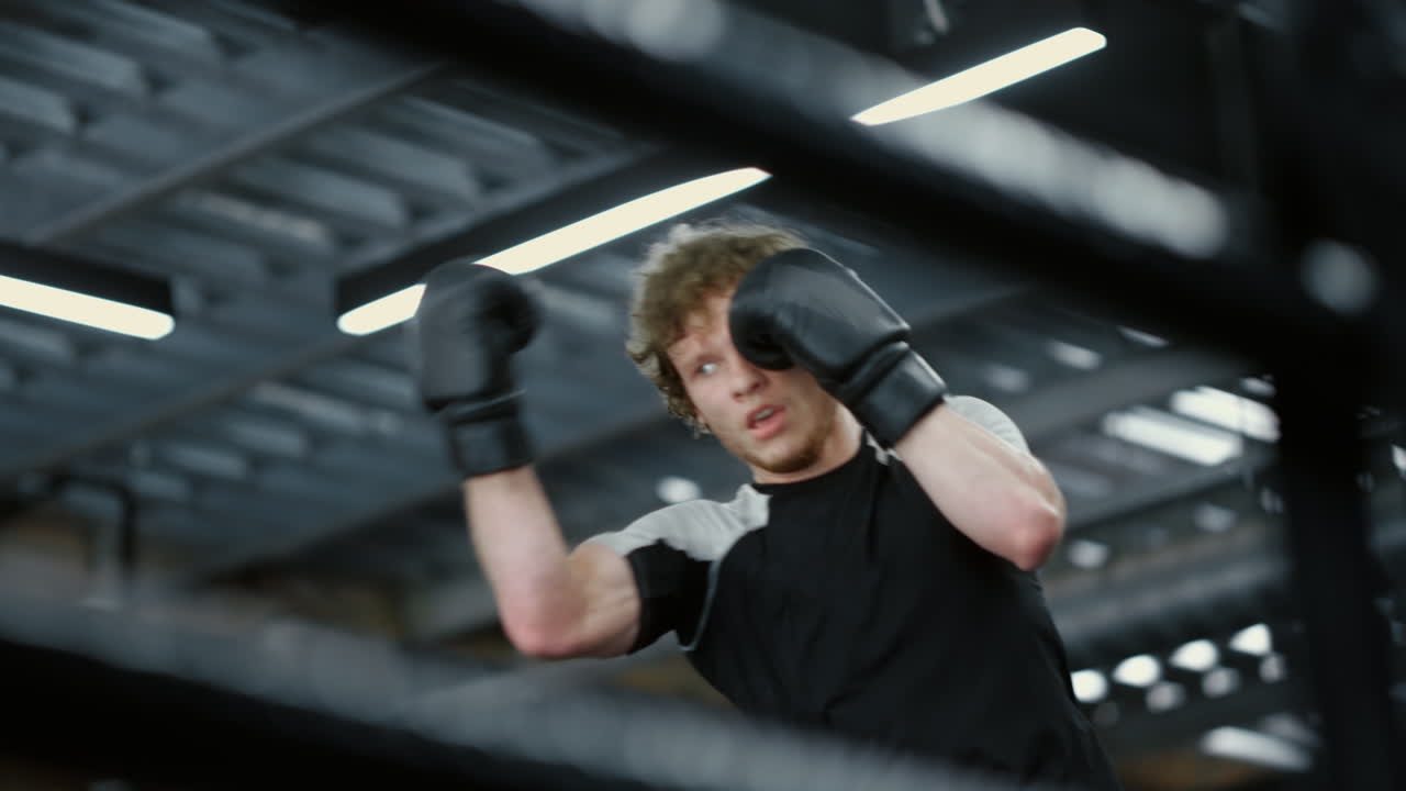 예쁜  ⁇ 박서 훈련은 체육관에서 히트합니다. 집중된 스포츠맨은 링에서 따뜻해집니다.