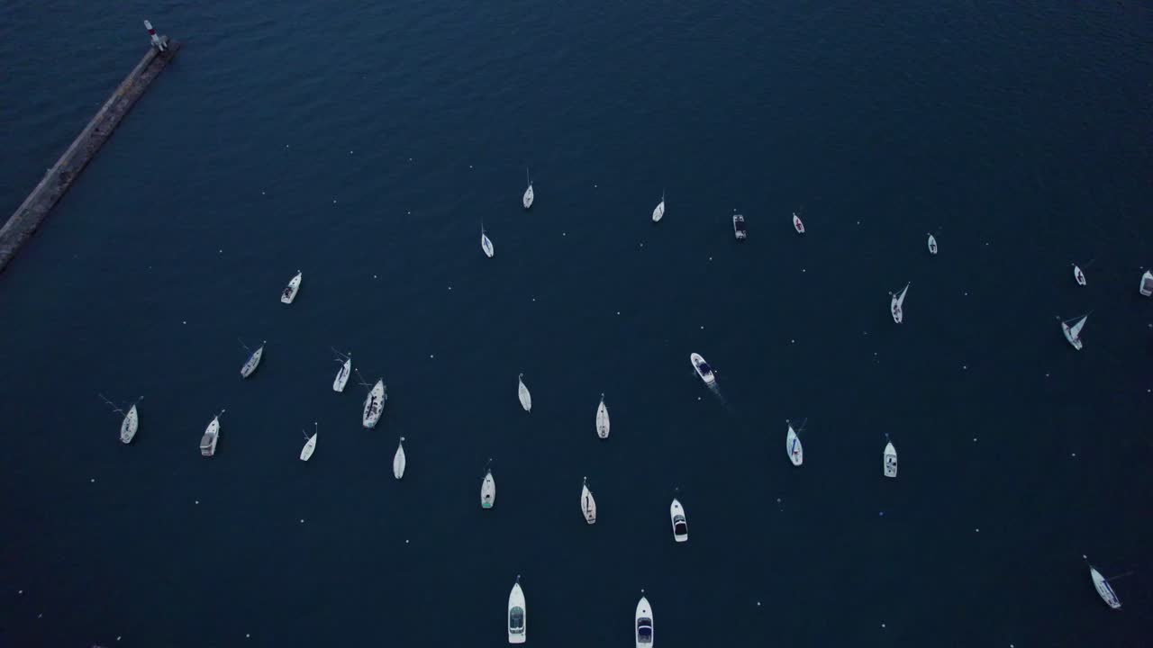 Drone shot of boats scattered near the breakwaters on Lake Michigan, with Chicago's lakefront and Museum Campus visible in the background during twilight.
