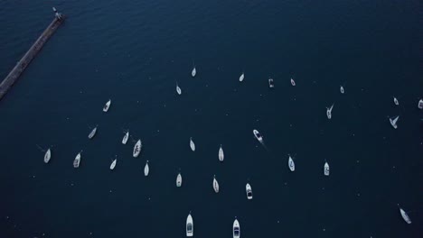 drone shot of boats scattered near the breakwaters on lake michigan, with chicago's lakefront and museum campus visible in the background during twilight.