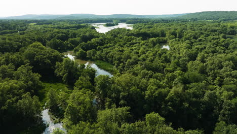 lush rainforests and rivers in arkansas, usa - aerial drone shot