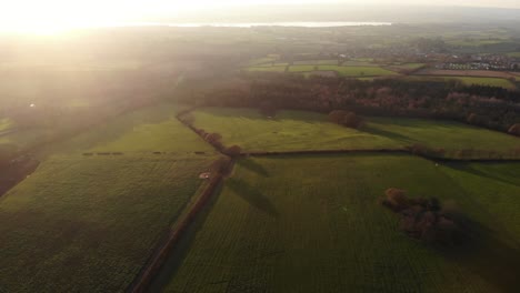 Goldenes-Warmes-Sonnenuntergangslicht-über-Woodbury-Common