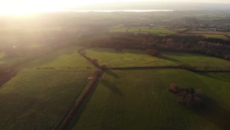 cálida luz dorada del atardecer sobre woodbury common