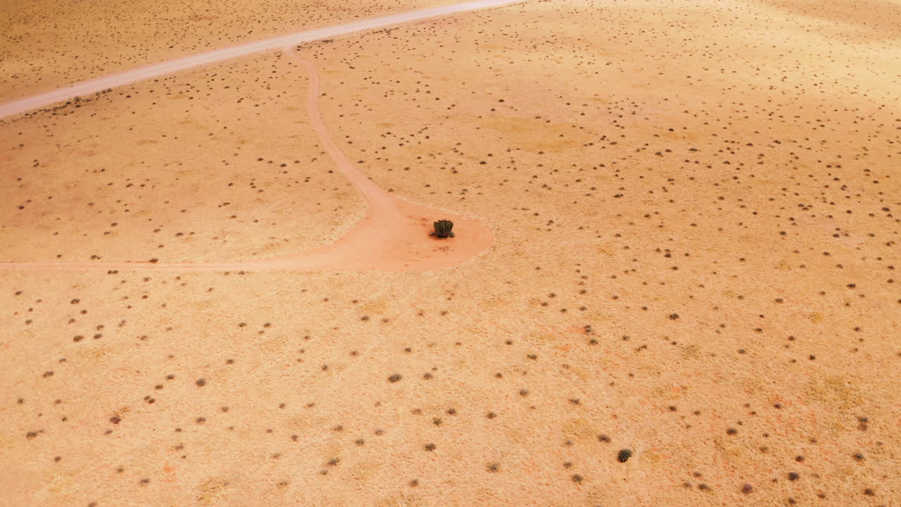 Aerial View of a Desert Landscape with a Dirt Road Intersection