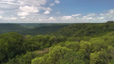 un dron volando alto sobre una selva tropical