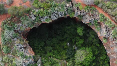 aerial drone top-down bird's eye medium shot of the lapa doce cave entrance with a self-contained rainforest below in the chapada diamantina national park in bahia, northeastern brazil