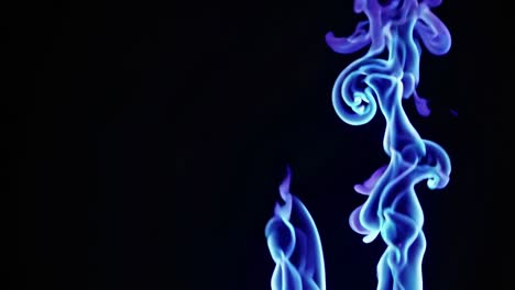 las llamas azules vibrantes