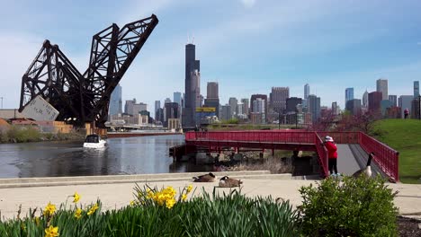 Menschen-Und-Wildtiere-Genießen-Einen-Schönen-Frühlingstag-In-Einem-Stadtpark-Mit-Der-Skyline-Von-Chicago