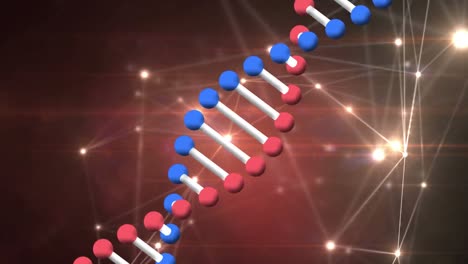 animación de la hilera de adn girando con procesamiento de datos y red de conexiones