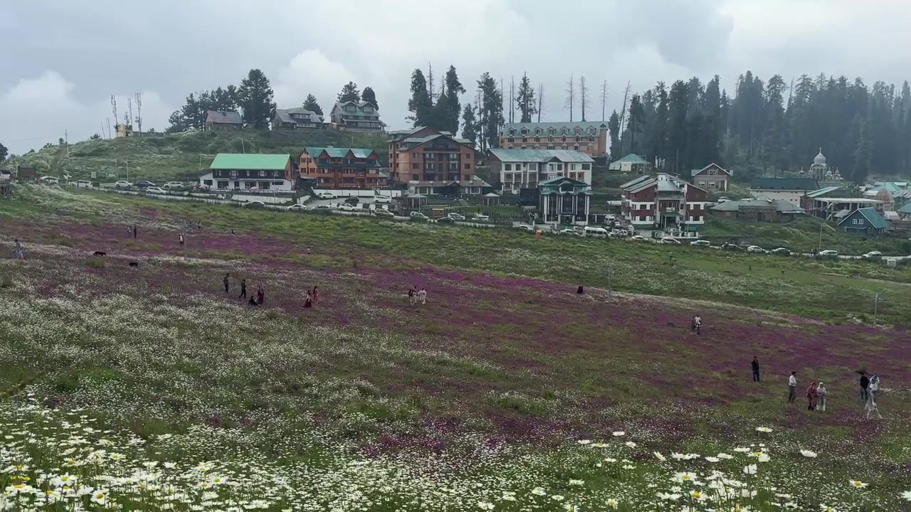 Keşmir Seyahat Yolculuğu: Çarpıcı Manzara ve Ağır Çekim Görüntülerle Sunulan Gulmarg ve Srinagar Seyahati