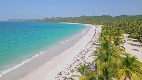 drone view of rincon beach in las galeras, samana, dominican republic