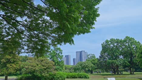 beautiful japanese traditional garden with skyscrapers tokyo