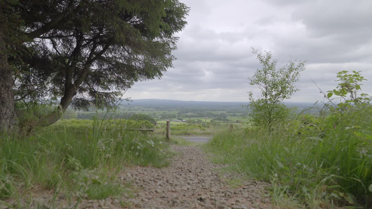 acercarse al punto de vista bajo ángulo, cámara lenta en el campo inglés, lancashire, reino unido, sony fx30