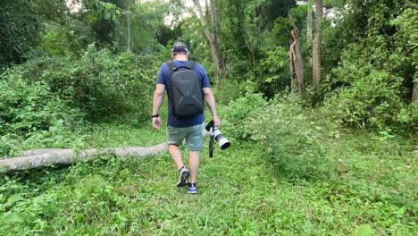 person trekking in a dense, verdant woodland.