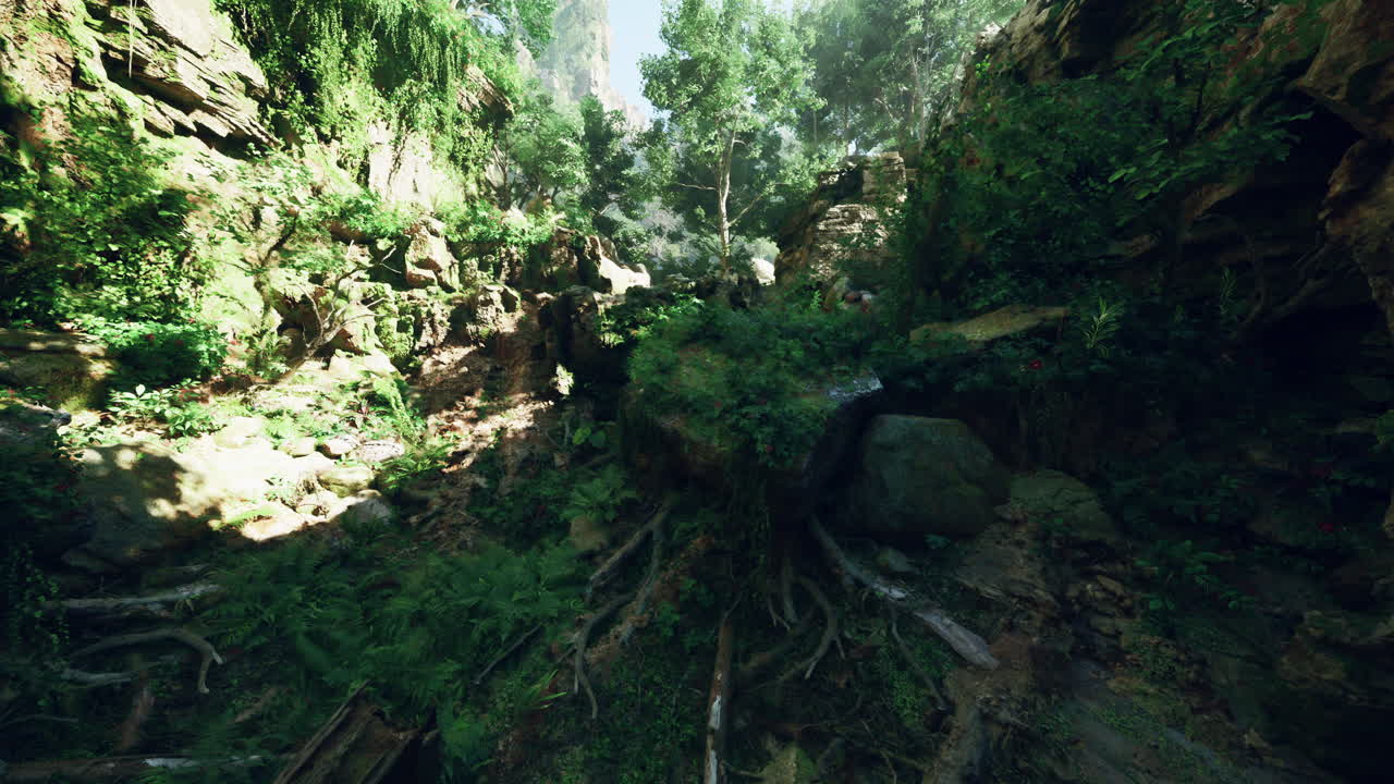 un camino profundo en la jungla.