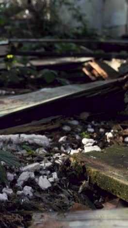 abandoned place with decaying wood and metal