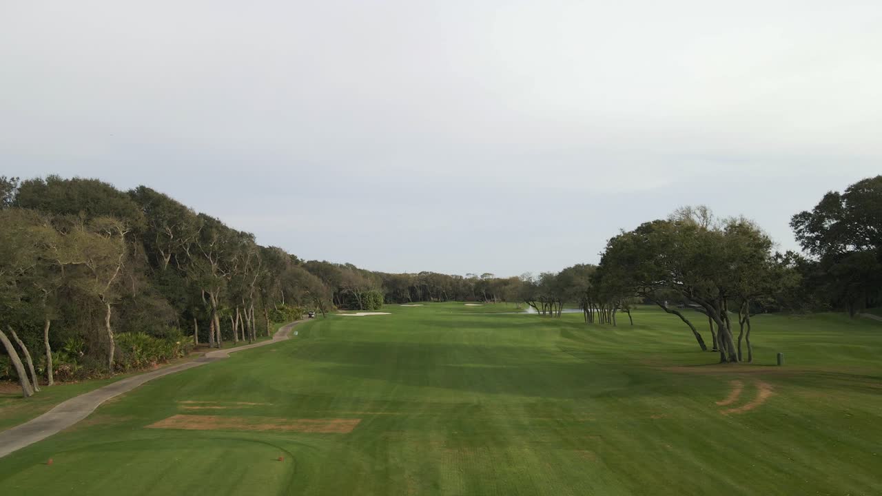 새와 카트와 함께 플로리다 골프 코스 위에서 느린 밀기 공중