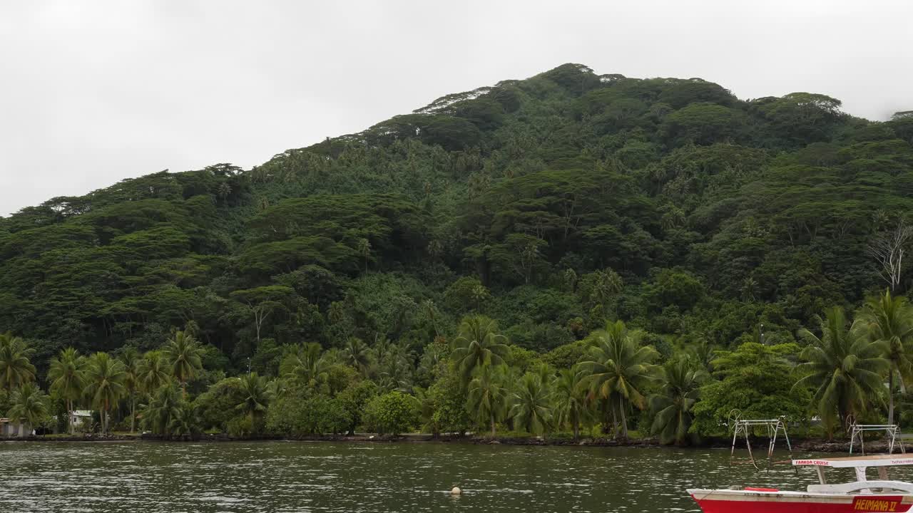 Serene Tropical Island Landscape with Lush Greenery and Palm Trees