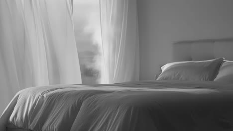 serene monochrome bedroom with sheer curtains