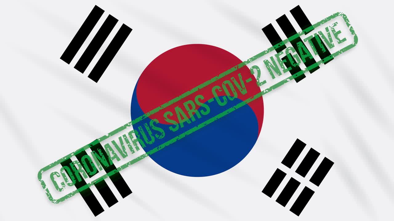 코로나 바이러스로부터의 자유의 녹색 스프를 가진 한국 발을 흔들고, 루프