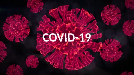 animation of corona virus cells over covid 19 text