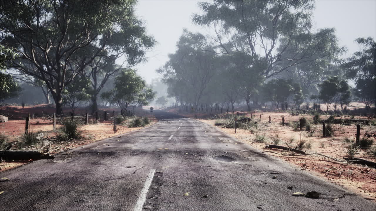 나무 가 있는 깨 ⁇  한 시골 도로