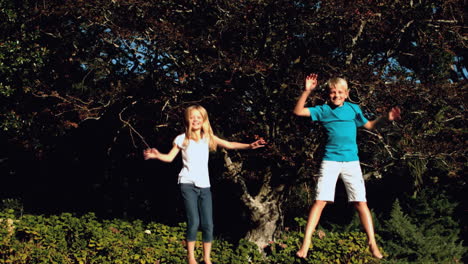 Siblings-bouncing-on-a-trampoline