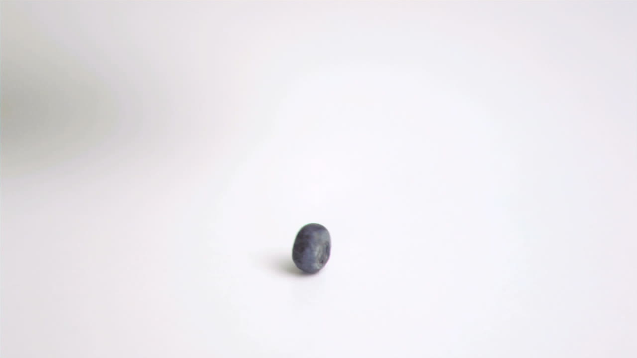 블루베리가 슈퍼 슬로모션으로 떨어집니다.