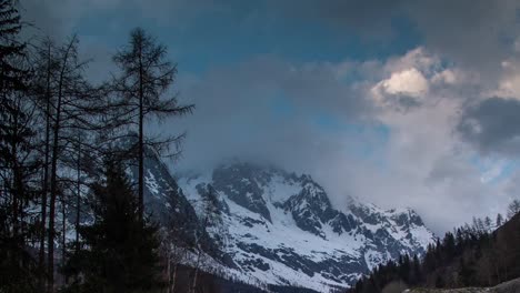 Pines-Alps-Mountains-01