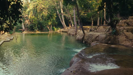 piscina de esmeralda en un bosque exuberante