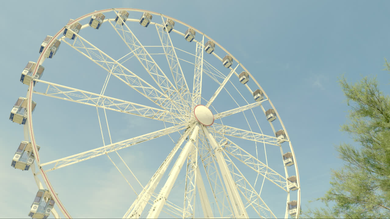 아래에서 보이는 페리스 은 구석에 나무 가지와 함께 은 하늘을 반대합니다.