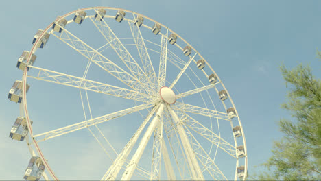 ferris wheel seen from below against a clear sky with tree branches in the corner