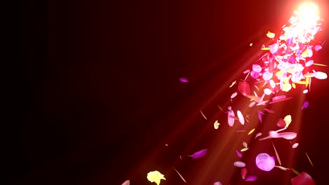 spin of colorful petals,cg animation,particle,loop