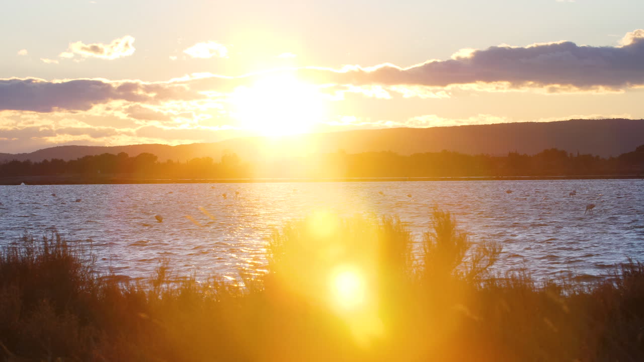 오른쪽에서 왼쪽으로 파노라마 해가 지고 플라밍고가 있는 연못이 있습니다.
